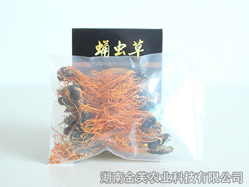 蛹體蛹蟲(chóng)草干品