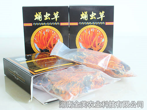 蛹體蛹蟲(chóng)草干品