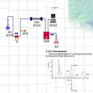 湖南金芙農(nóng)業(yè)科技有限公司,羊肚菌,蛹蟲(chóng)草鮮品,蛹蟲(chóng)草干品,蟲(chóng)草超微粉,蟲(chóng)草酒哪里好