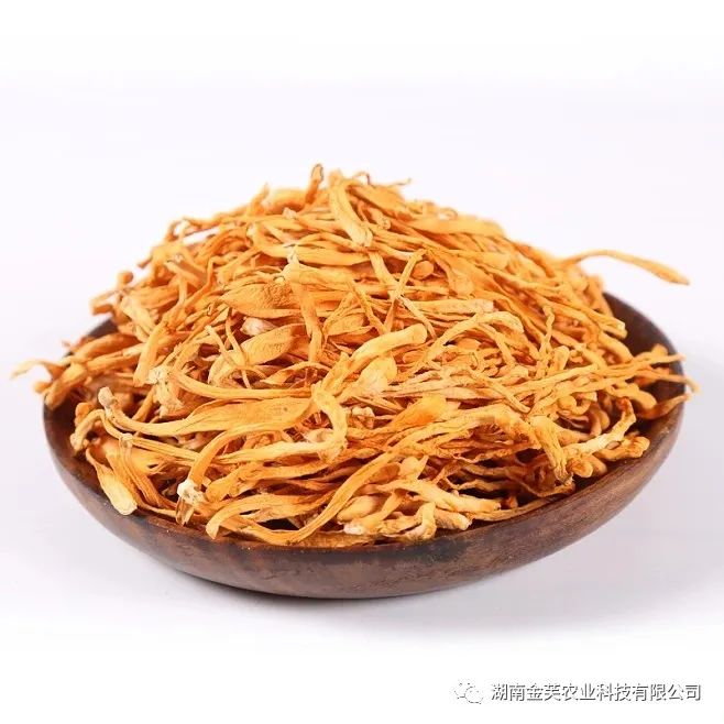 湖南金芙農(nóng)業(yè)科技有限公司,湖南蛹蟲草,湖南羊肚菌,蛹蟲草,羊肚菌,龍新,蟲草酒哪里好,衡陽(yáng)食用菌,衡陽(yáng)羊肚菌,衡陽(yáng)蛹蟲草