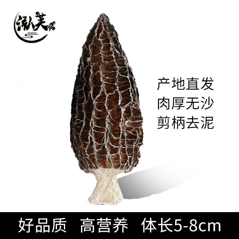 湖南金芙農(nóng)業(yè)科技有限公司,湖南蛹蟲草,湖南羊肚菌,蛹蟲草,羊肚菌,龍新,蟲草酒哪里好,衡陽食用菌,衡陽羊肚菌,衡陽蛹蟲草